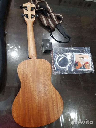 Укулеле концерт