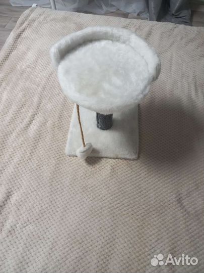 Когтеточка для кошек