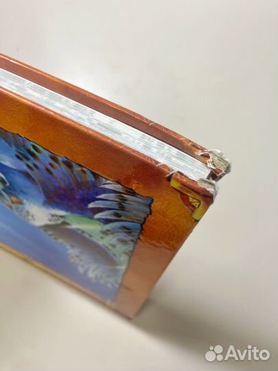 Коты-воители. Память племен: путеводитель