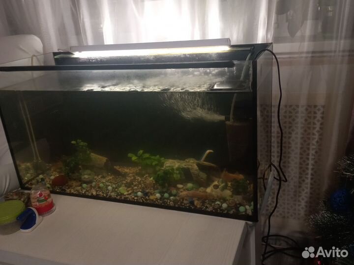 Аквариум