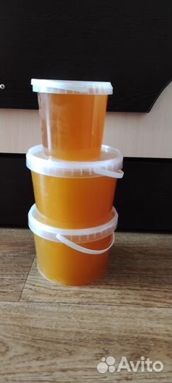 Мед сбор Август 2023 настоящий