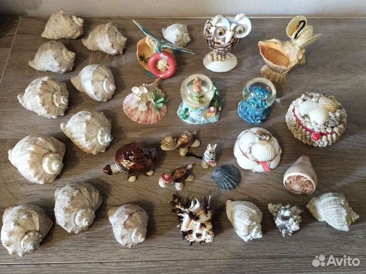 Ракушки и сувениры из ракушек