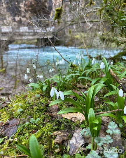 Золотое кольцо Абхазии