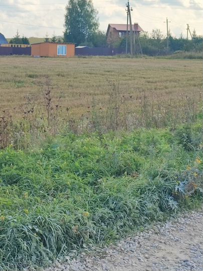 Дом 31 м² на участке 1,41 га