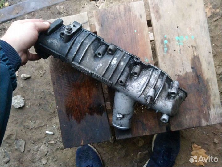 Коллектор выпускной 504248225