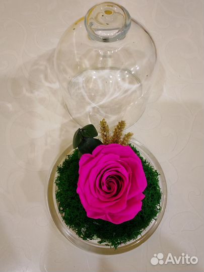 Вечная роза