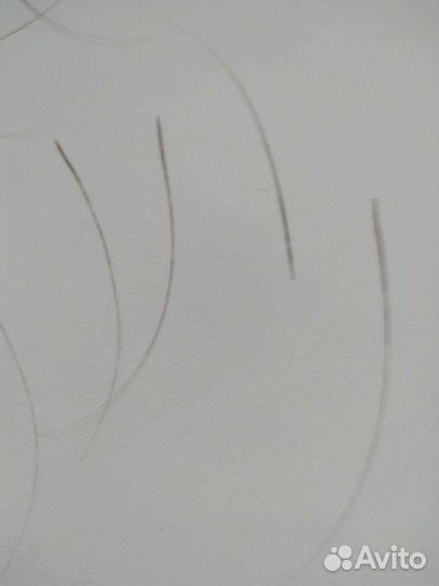 Усы,вибрисы сиамского кота