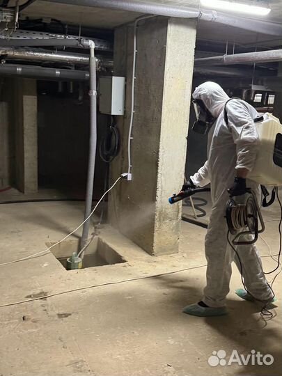 Средство от насекомых дома и в саду