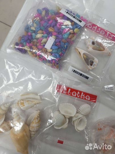 Ракушки и морская звезда