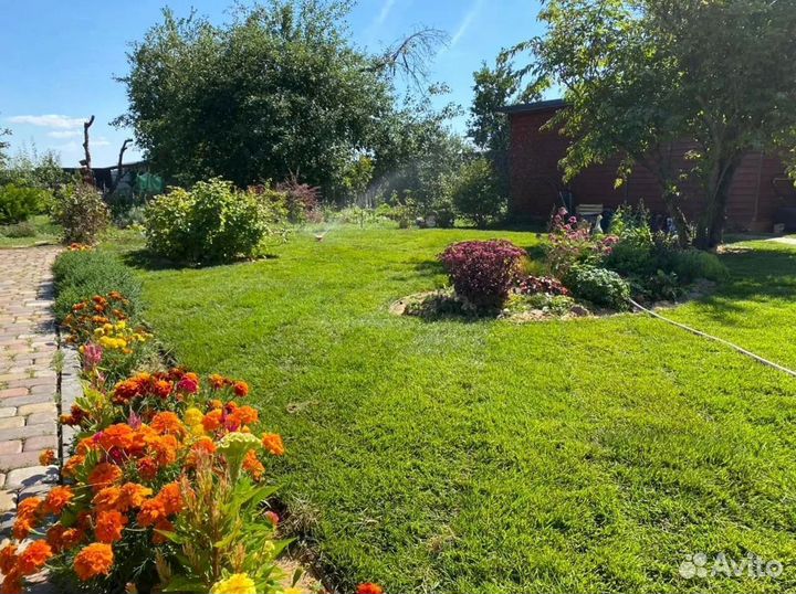 Рулонный газон. Укладка + Автополив