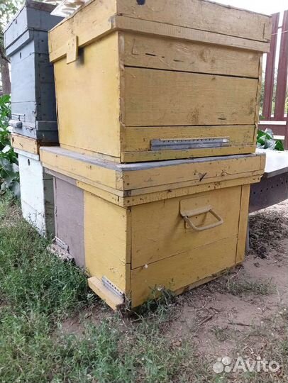 Улей для пчел