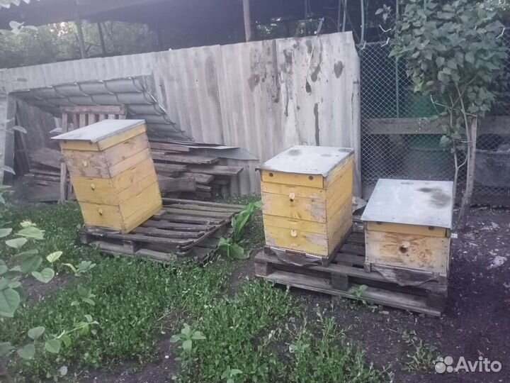 Улей для пчел