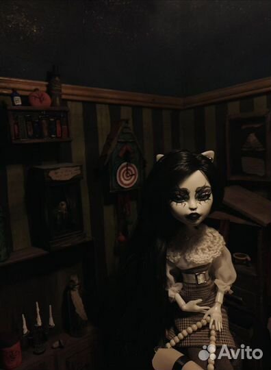 Monster high Монстер хай ооак