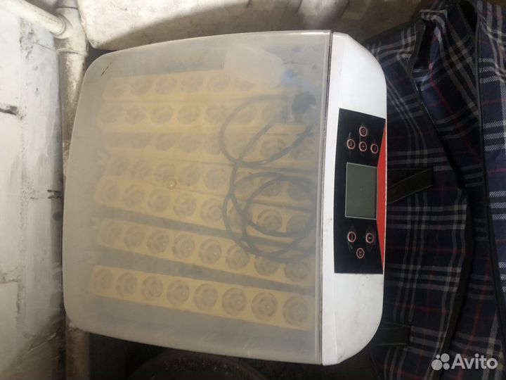 Инкубатор для яиц автоматический