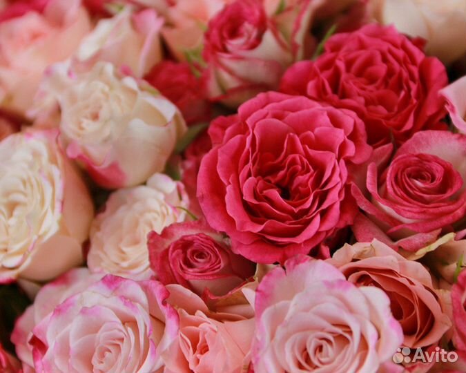 Букет из 101 кустовой розы нежный микс 40 см