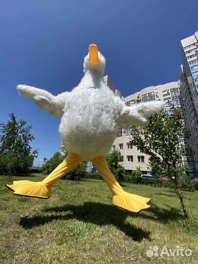 Гусь обнимусь