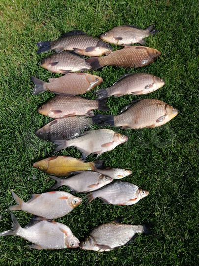 Дом 75 м² на участке 6 сот.