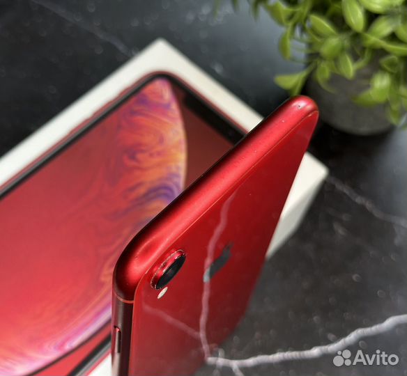 iPhone Xr, 128 ГБ