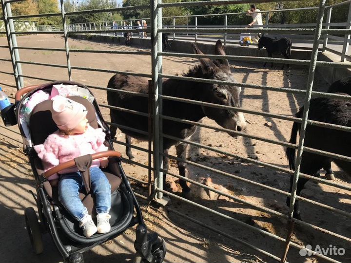 Коляска Tutis aero sport