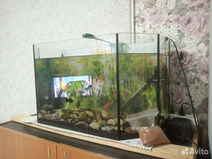 Аквариум