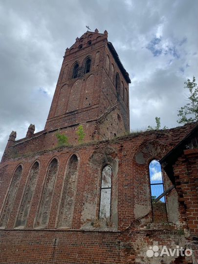 Экскурсионные туры в Калининград от 3 дней