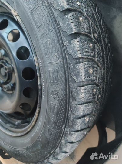 Gislaved Nord Frost 5 195/65 R15 91T