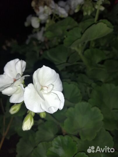 Декор цветы