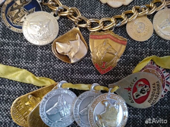 Аксессуары для собак