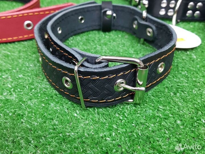 Ошейник для собак