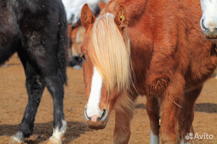 Фотографии для сайтов и интерьера