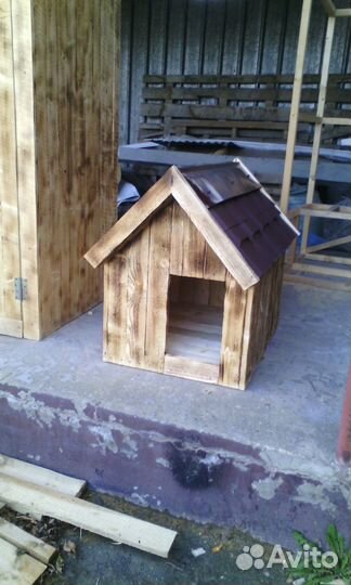 Собачья радость