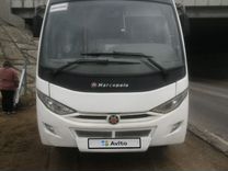 Городской автобус Marcopolo Bravis, 2014