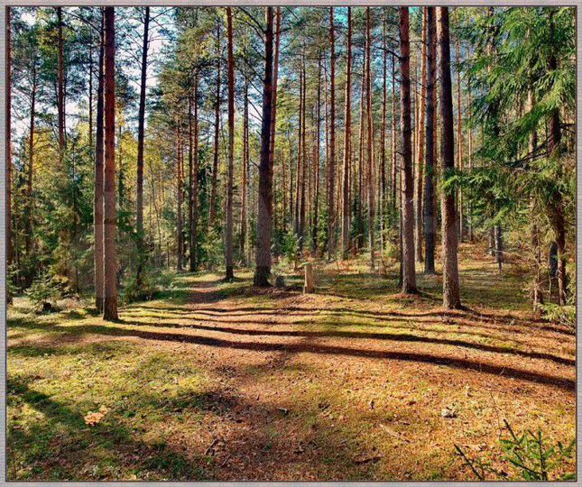 Участок 48,84 га (ИЖС)