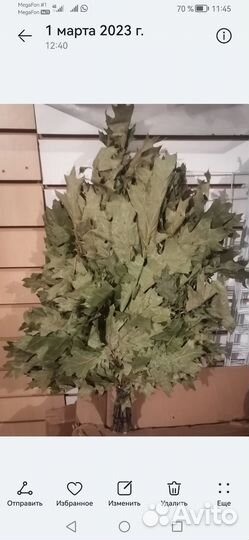 Веники для бани из красного дуба