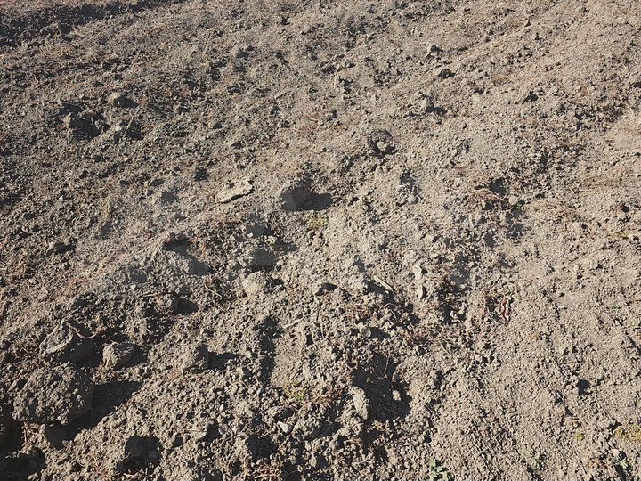 Участок 9,8 га (СНТ, ДНП)