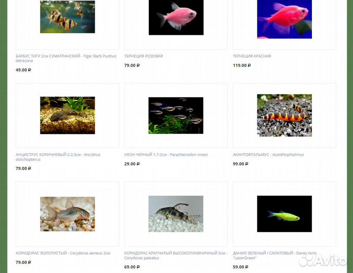 Аквариумные рыбки