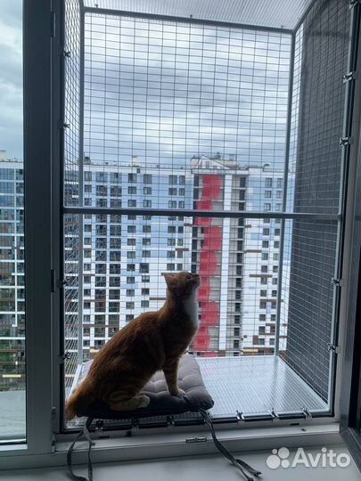 Балкон для кота