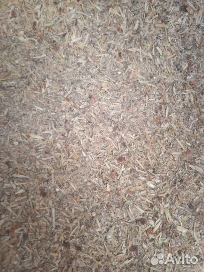 Корма для сельскохозяйственных животных