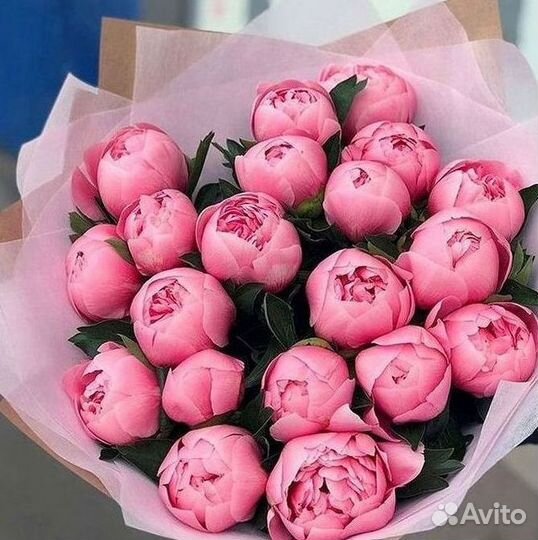 Пионы Букеты Цветы Доставка