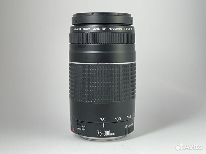 Canon ef 75-300 f/4-5.6