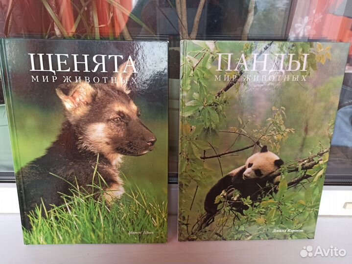 Книга щенята панда мир животных