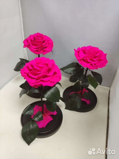 Роза в колбе опт