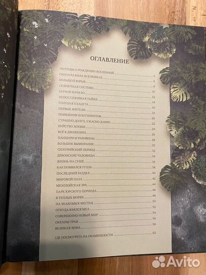 История жизни на земле