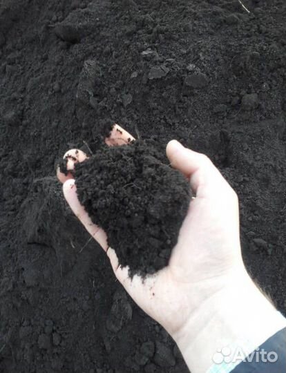 Чернозем торф навоз перегной плодородная земля
