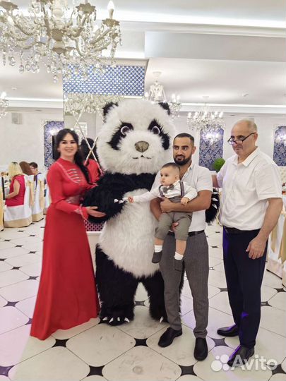 Аниматор Поздравление Панда