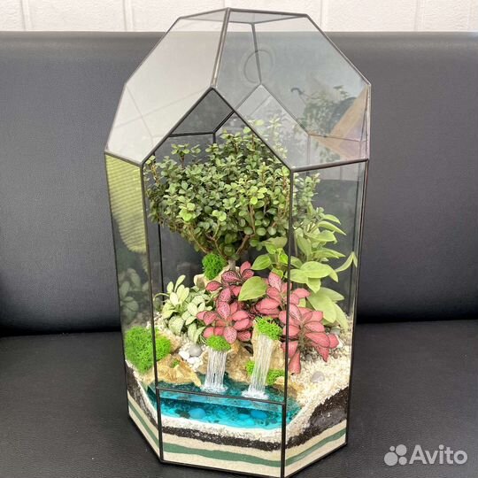 Флорариум 