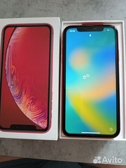 iPhone Xr, 64 ГБ