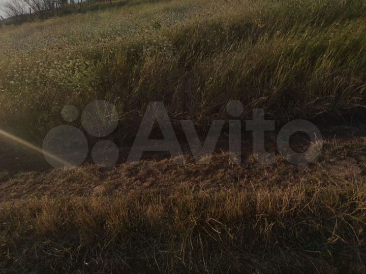 Участок 5 сот. (СНТ, ДНП)