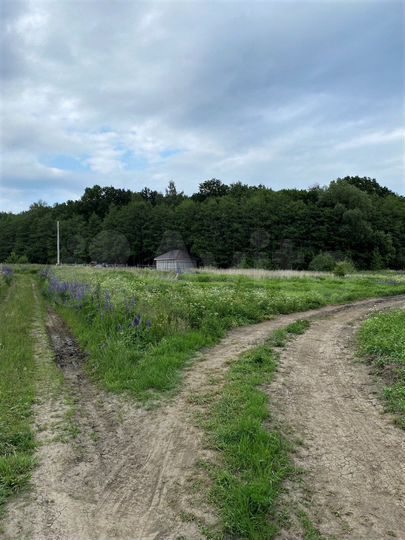 Участок 11,5 сот. (ИЖС)