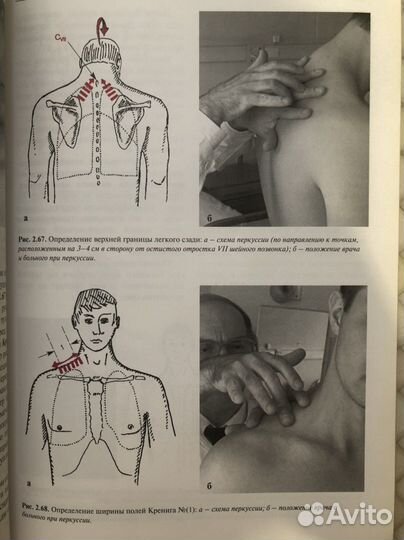 Пропедевтика